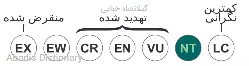 گیلانشاه حنایی